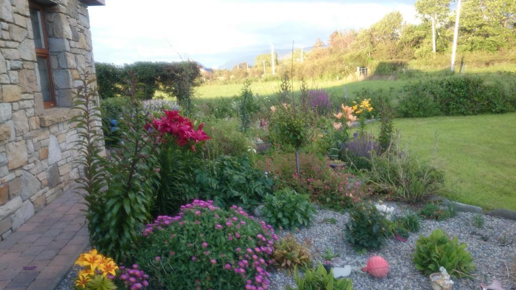 Atlantic Way B&B Grange (Sligo) Exterior photo