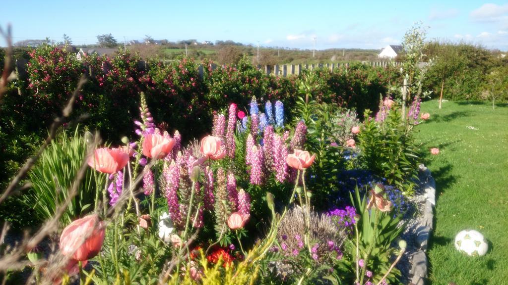 Atlantic Way B&B Grange (Sligo) Exterior photo