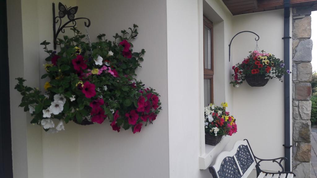 Atlantic Way B&B Grange (Sligo) Exterior photo