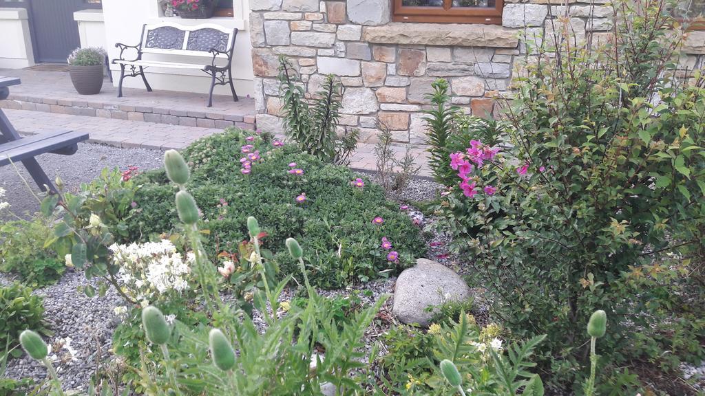 Atlantic Way B&B Grange (Sligo) Exterior photo