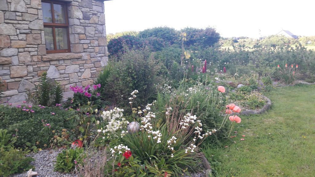 Atlantic Way B&B Grange (Sligo) Exterior photo