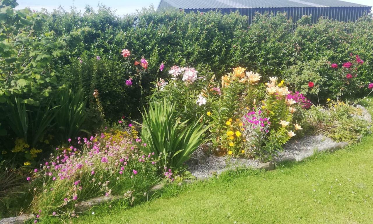 Atlantic Way B&B Grange (Sligo) Exterior photo